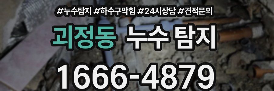 괴정동 누수 탐지