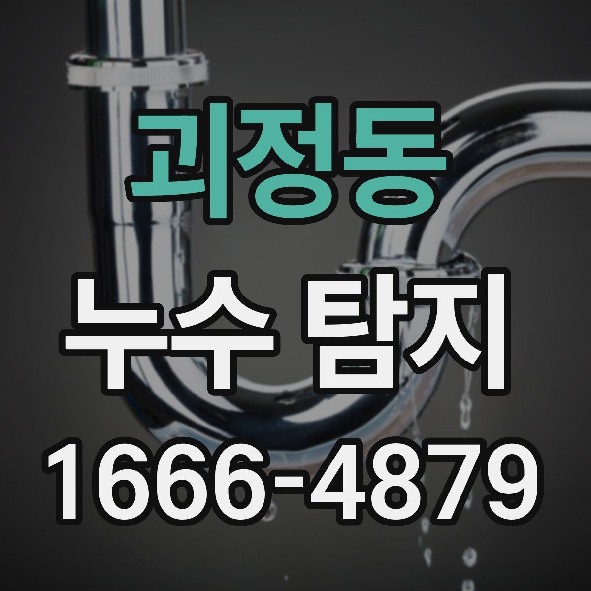 괴정동 누수 탐지