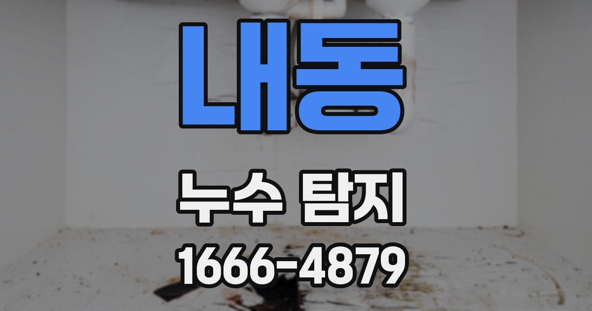 내동 누수 탐지