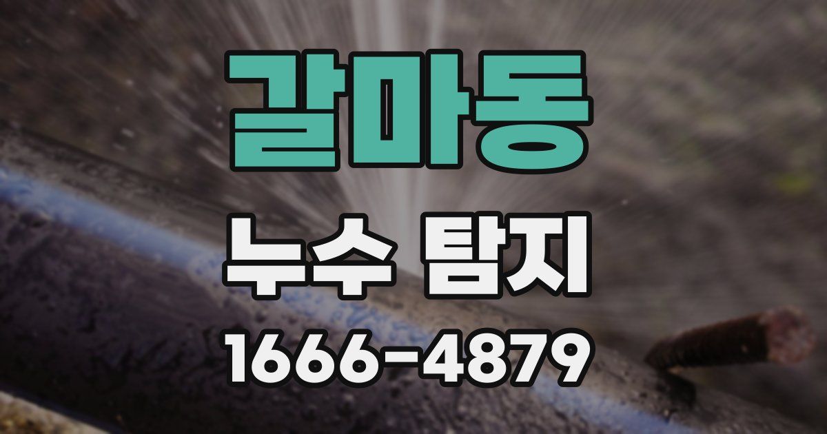 갈마동 누수 탐지