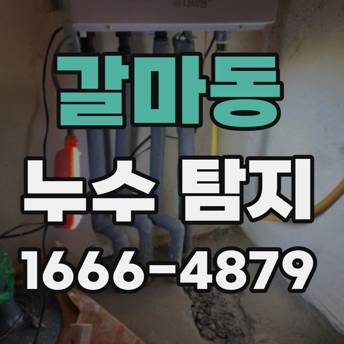 갈마동 누수 탐지