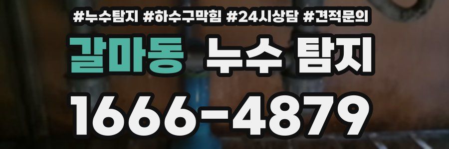 갈마동 누수 탐지