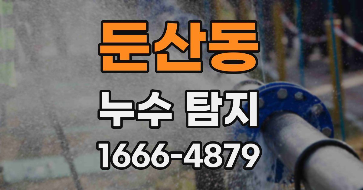 둔산동 누수 탐지