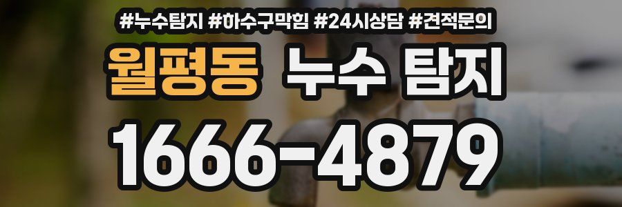월평동 누수 탐지