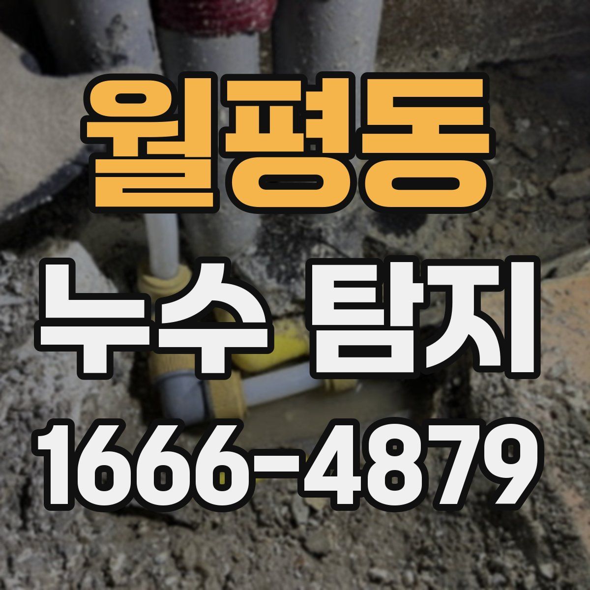 월평동 누수 탐지