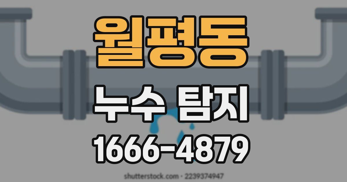 월평동 누수 탐지