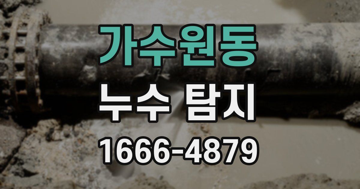 가수원동 누수 탐지