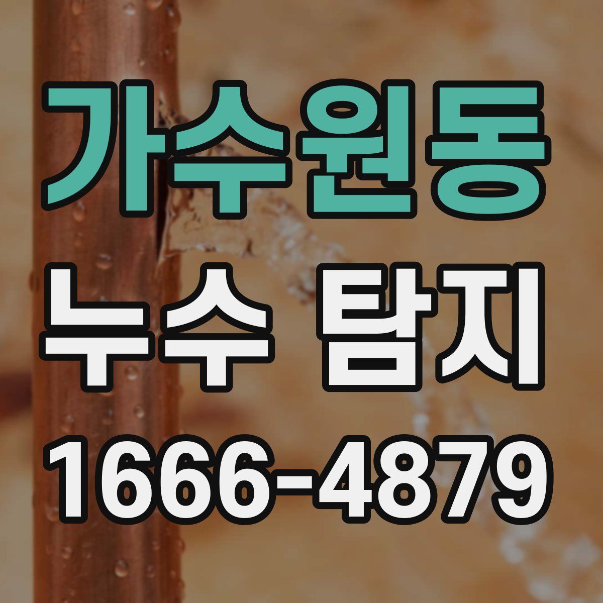 가수원동 누수 탐지