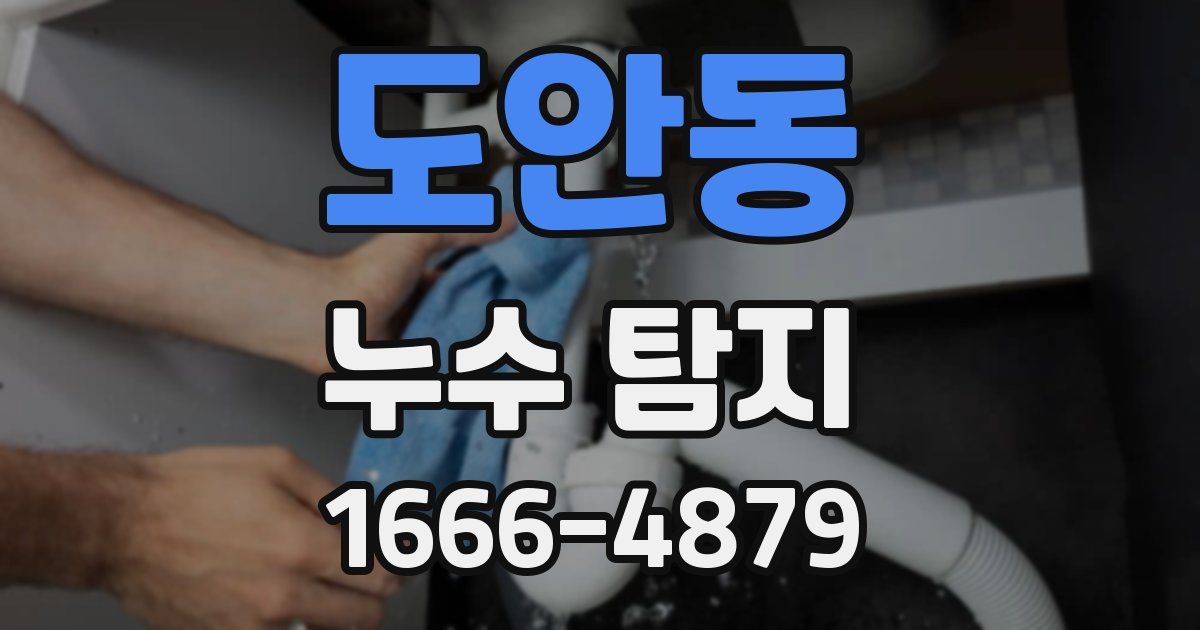 도안동 누수 탐지