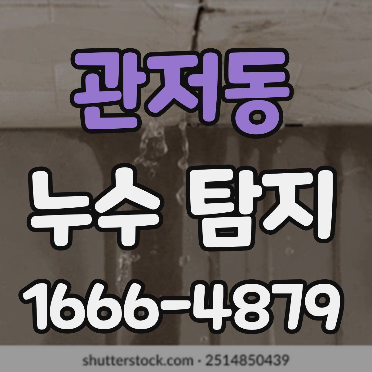 관저동 누수 탐지
