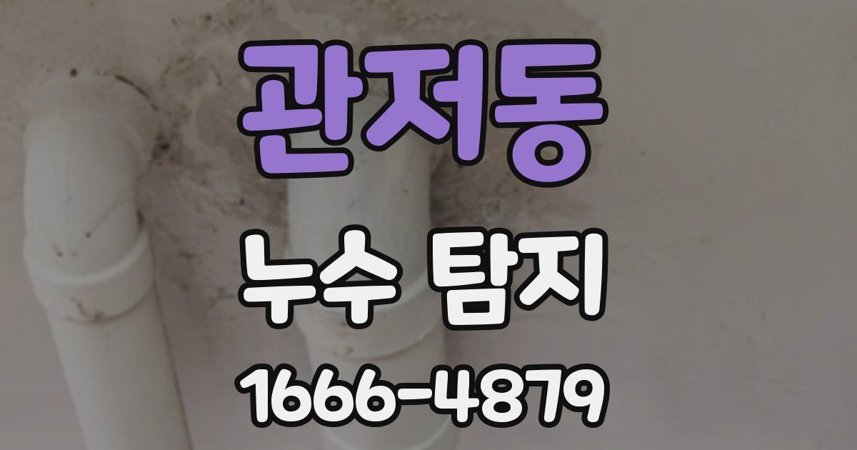 관저동 누수 탐지