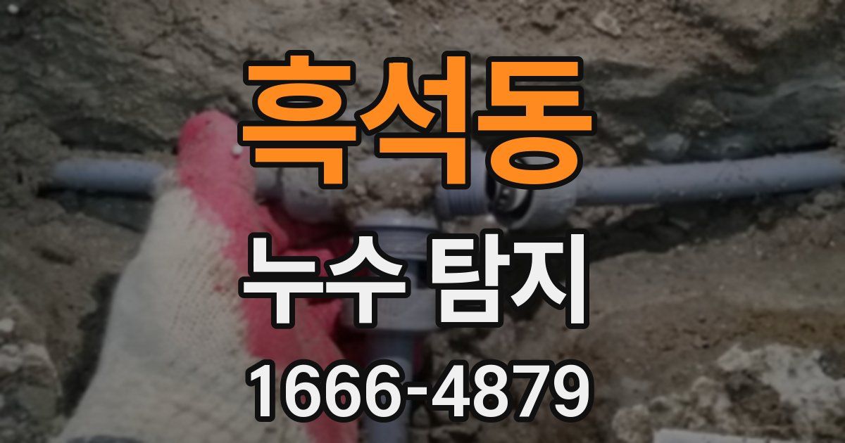 흑석동 누수 탐지