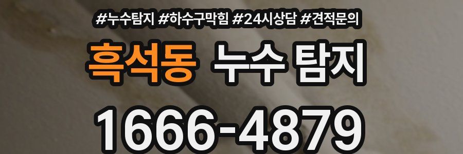 흑석동 누수 탐지