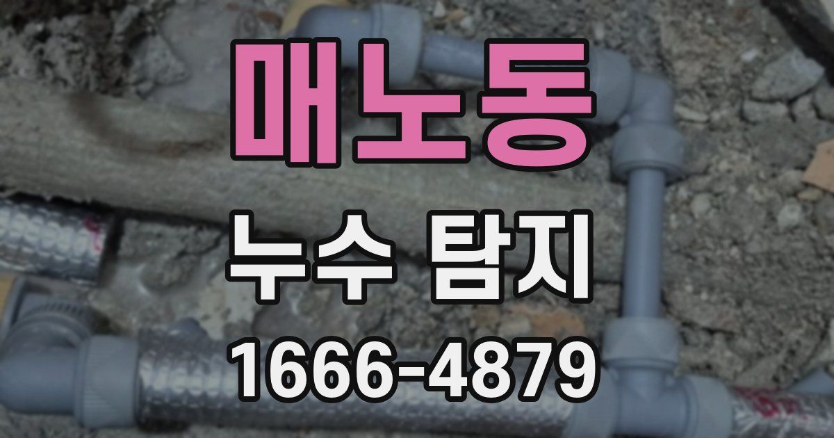 매노동 누수 탐지
