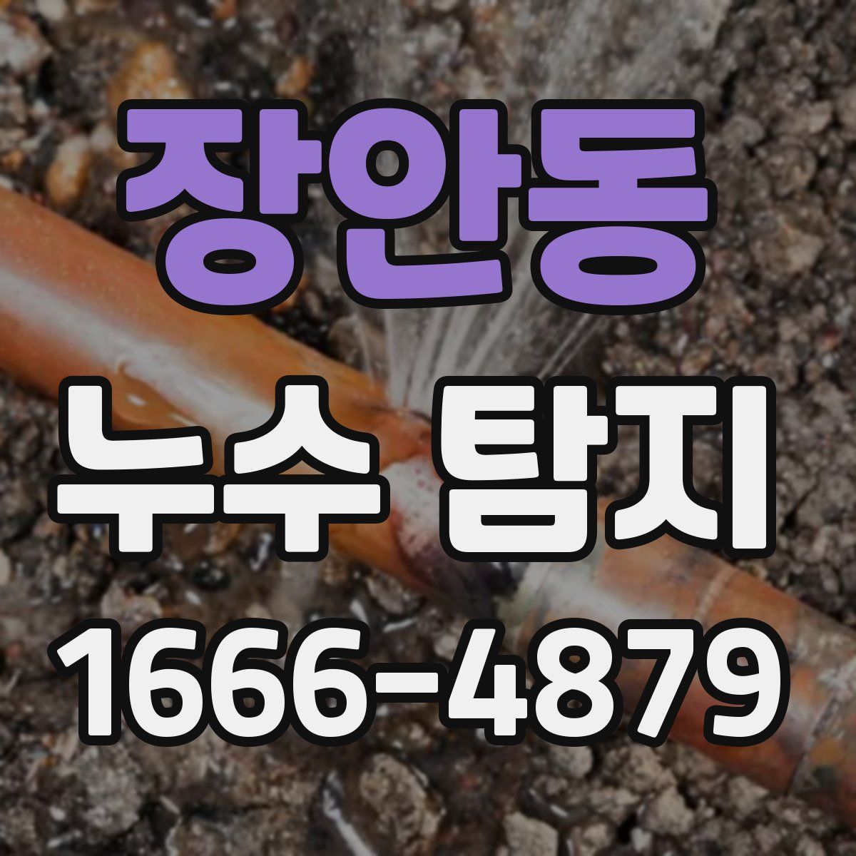 장안동 누수 탐지