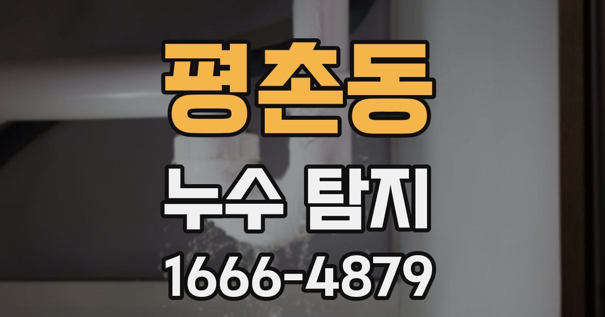 평촌동 누수 탐지