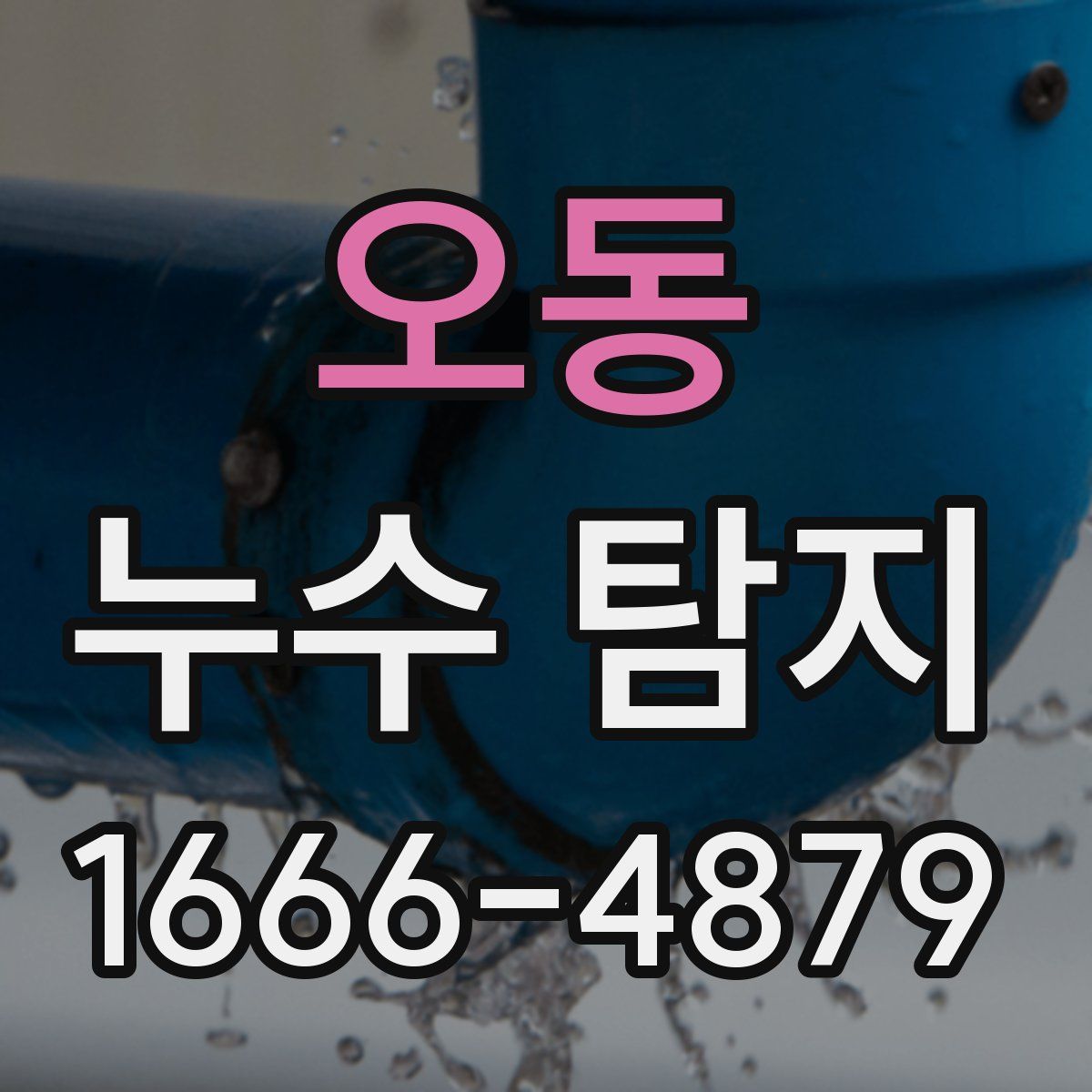오동 누수 탐지