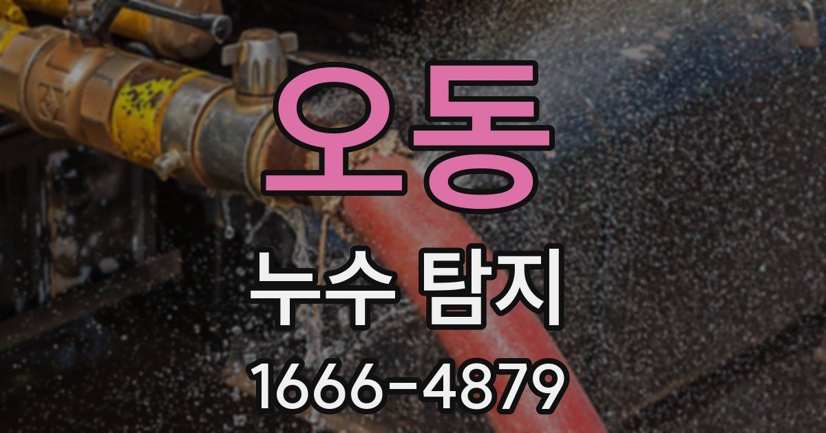 오동 누수 탐지