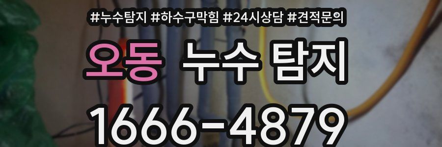 오동 누수 탐지