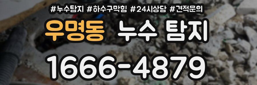 우명동 누수 탐지