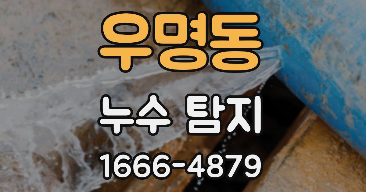 우명동 누수 탐지