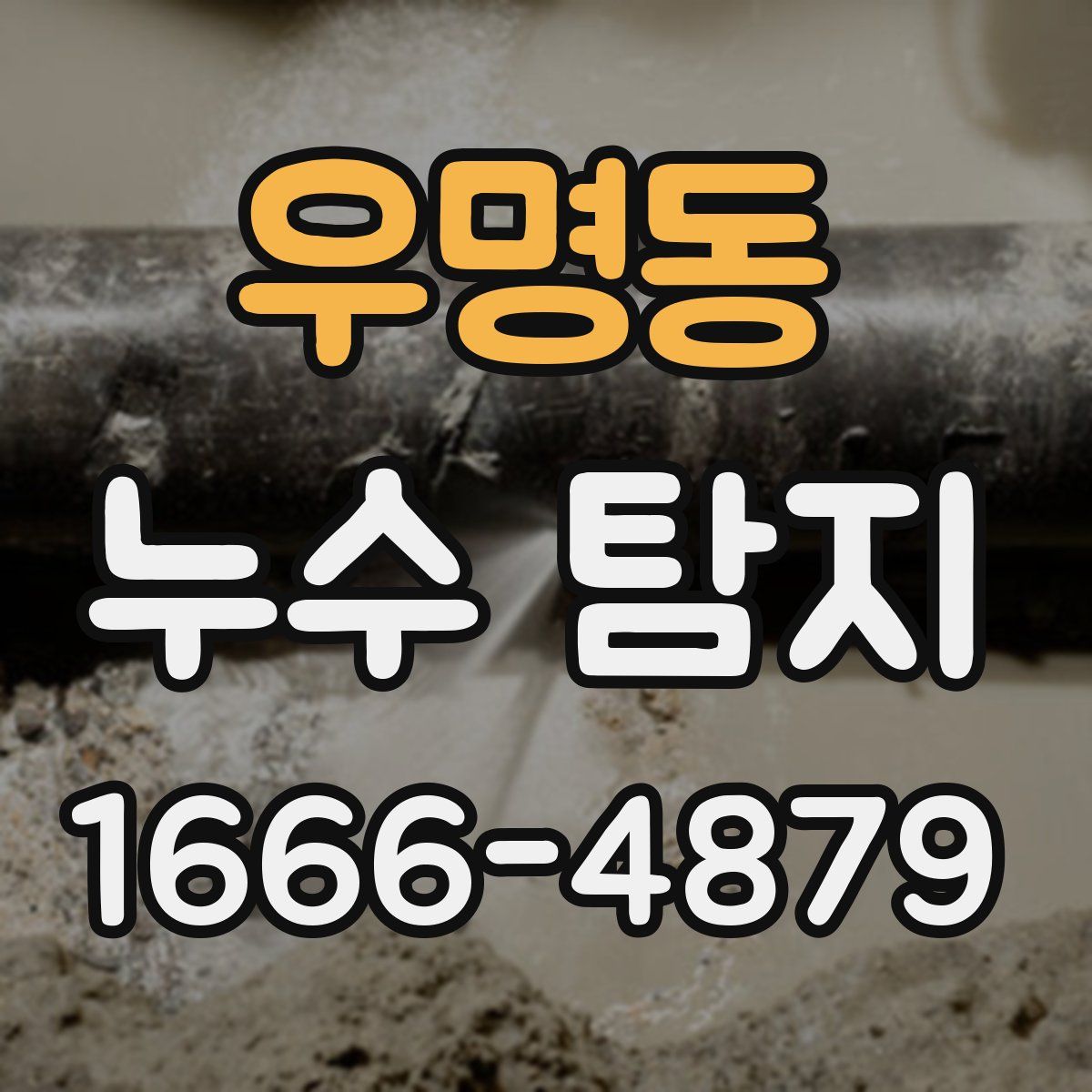 우명동 누수 탐지