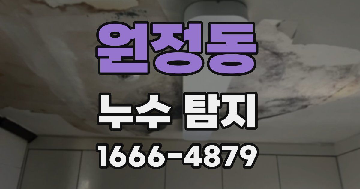 원정동 누수 탐지