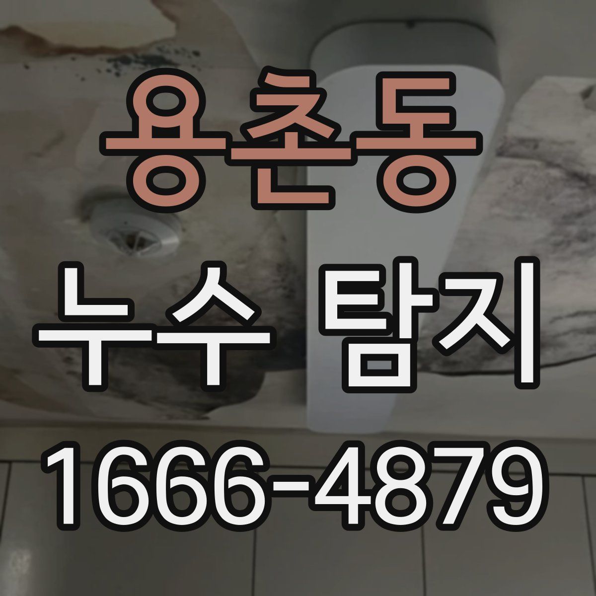 용촌동 누수 탐지