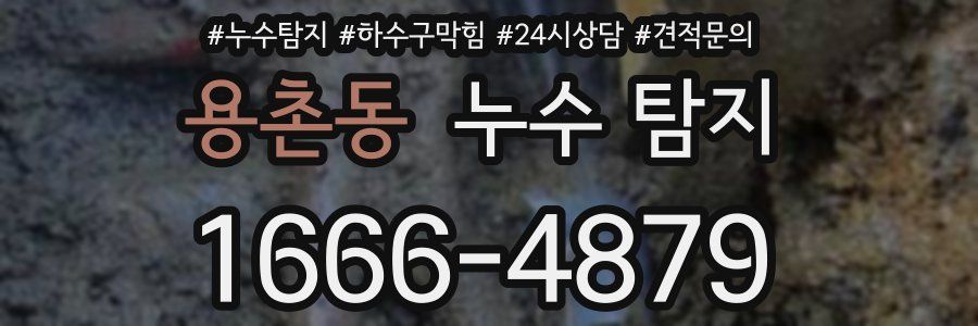 용촌동 누수 탐지