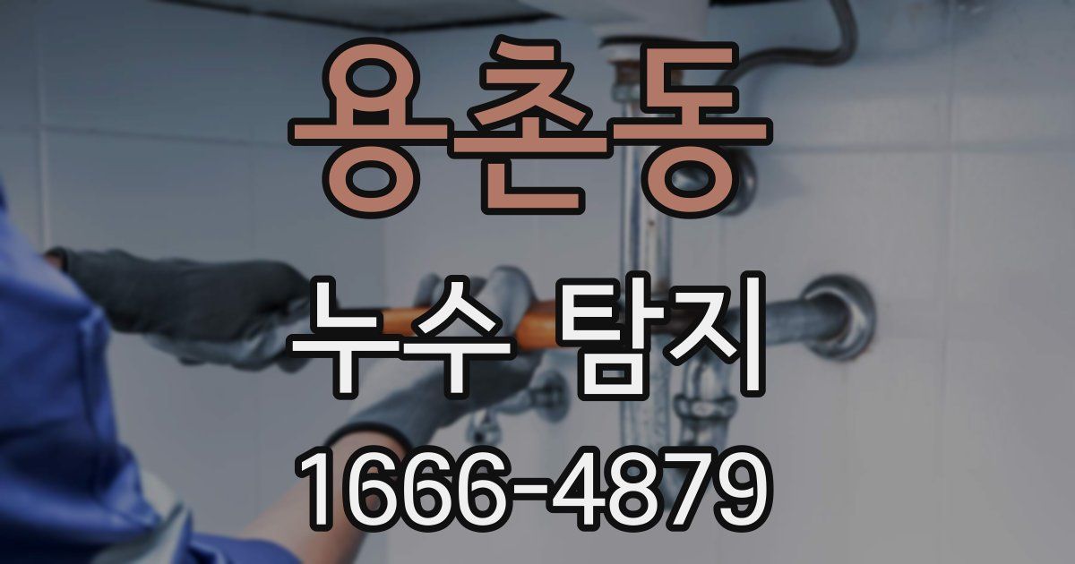 용촌동 누수 탐지
