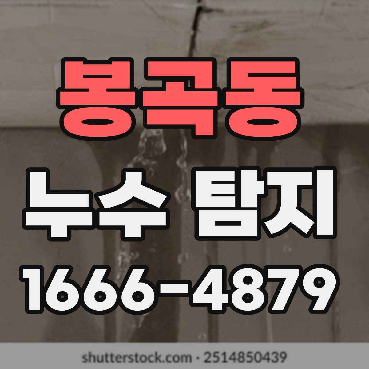 봉곡동 누수 탐지
