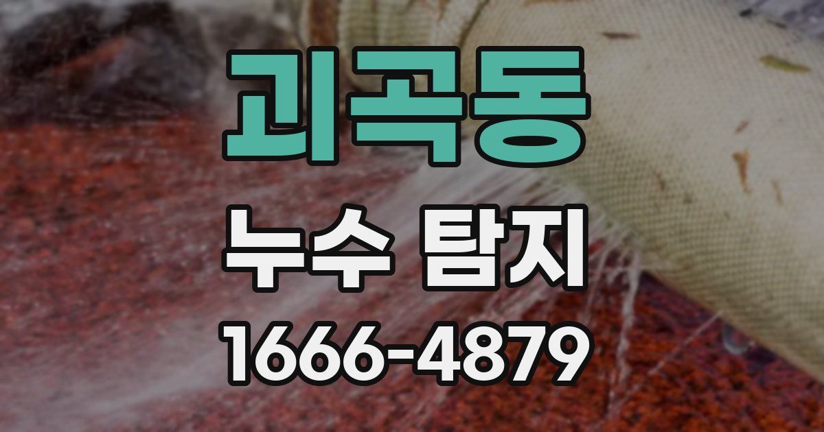 괴곡동 누수 탐지
