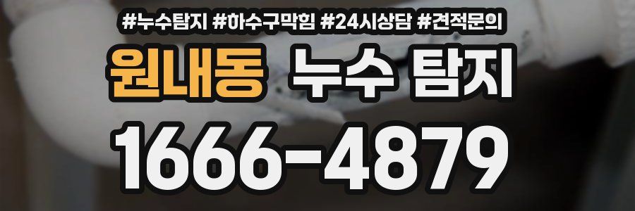 원내동 누수 탐지