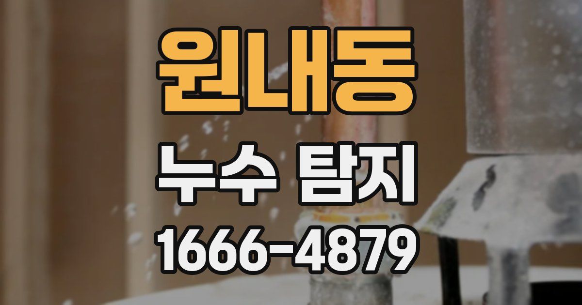 원내동 누수 탐지