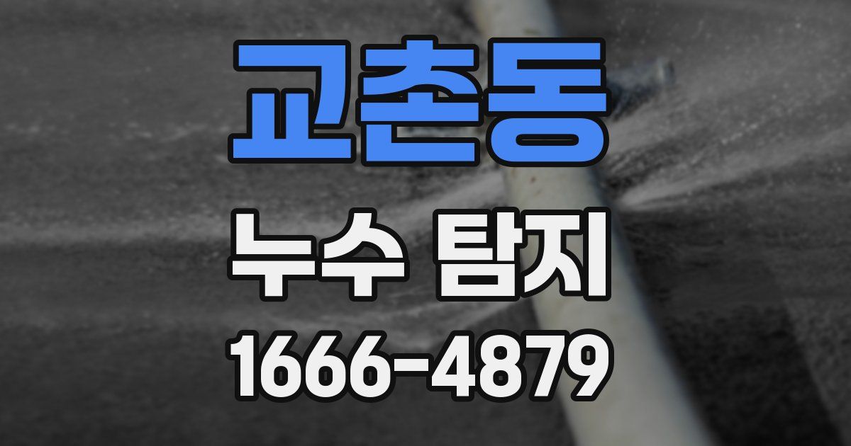 교촌동 누수 탐지
