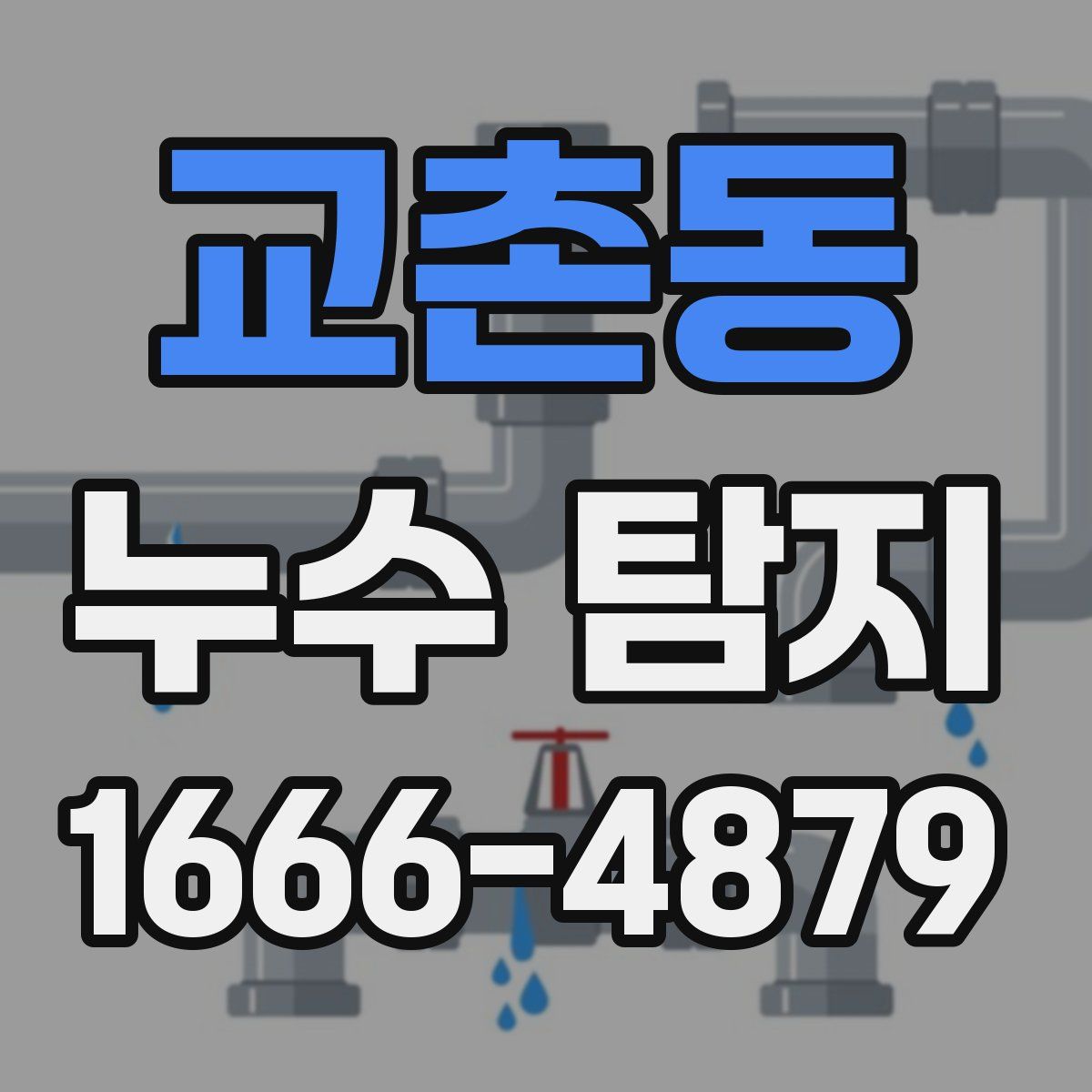 교촌동 누수 탐지
