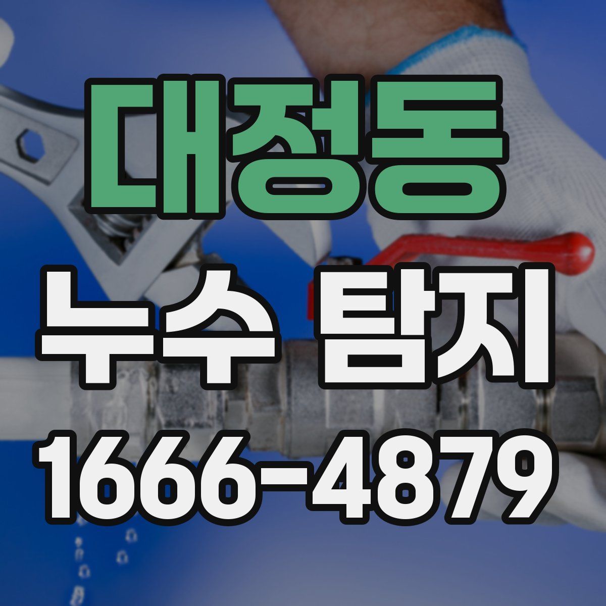 대정동 누수 탐지