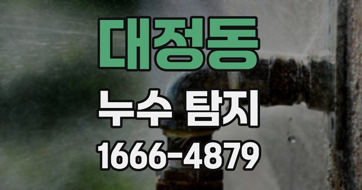 대정동 누수 탐지