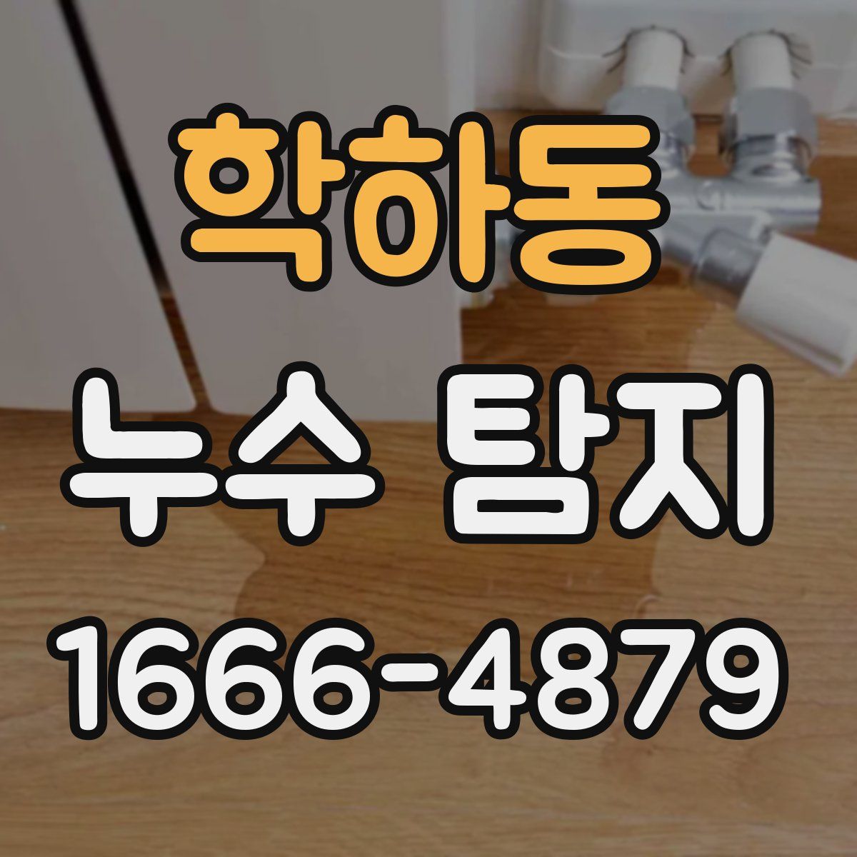 학하동 누수 탐지
