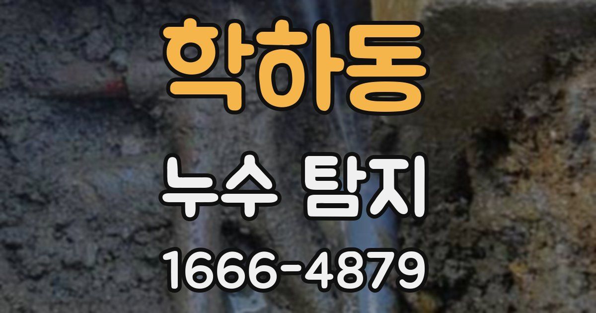 학하동 누수 탐지