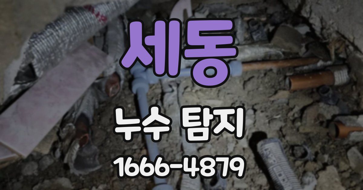 세동 누수 탐지