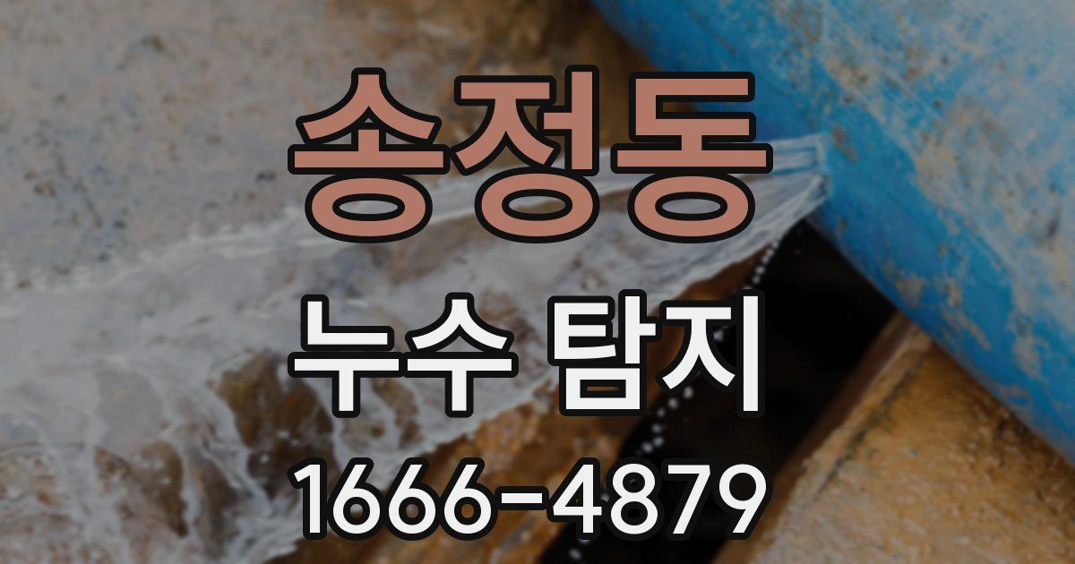 송정동 누수 탐지