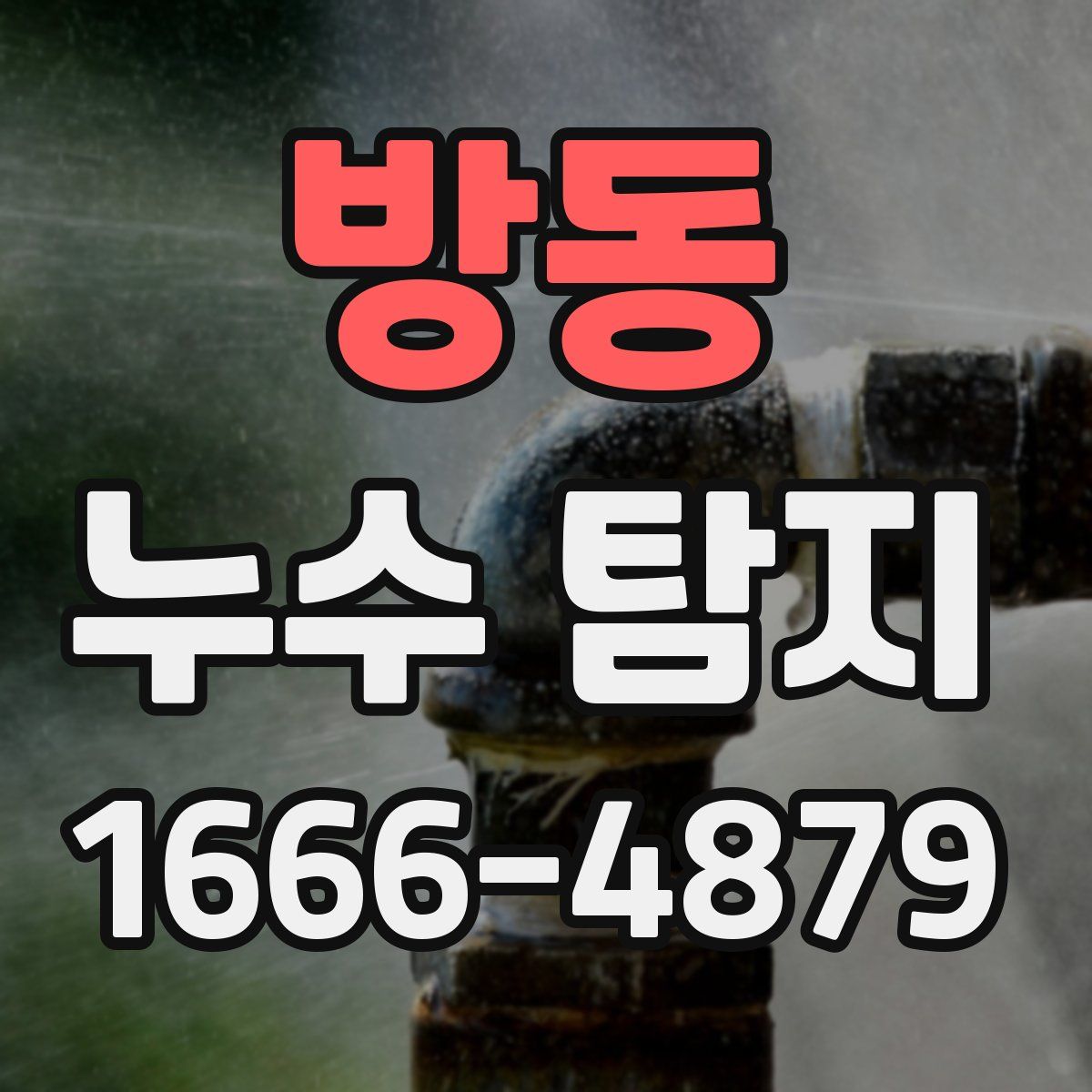 방동 누수 탐지