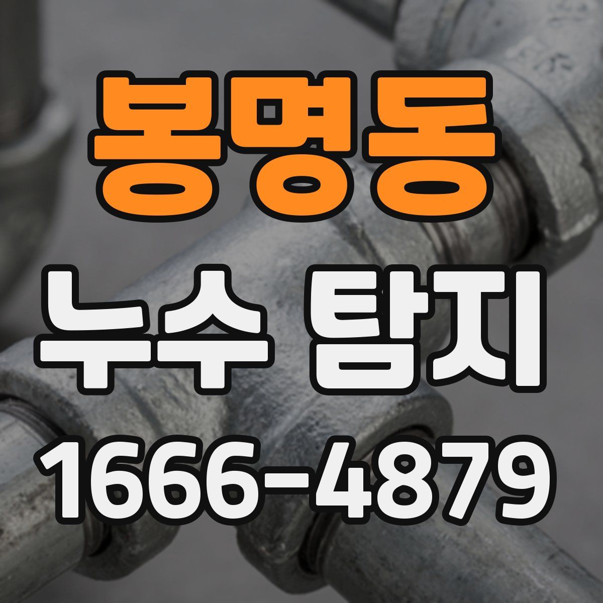 봉명동 누수 탐지