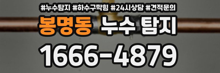 봉명동 누수 탐지