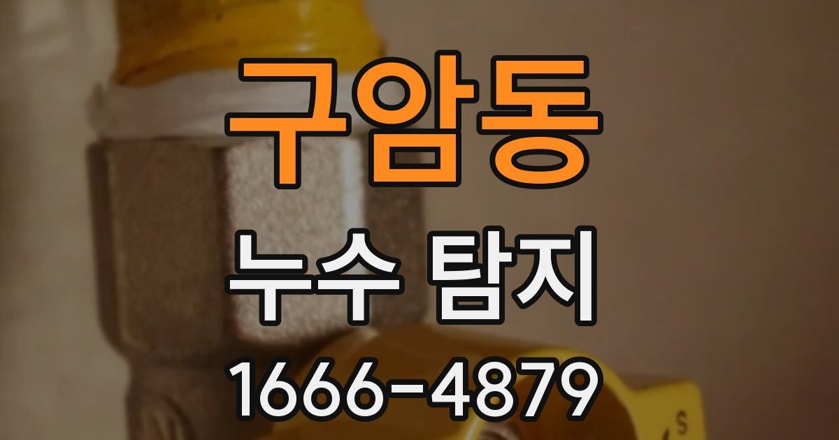구암동 누수 탐지