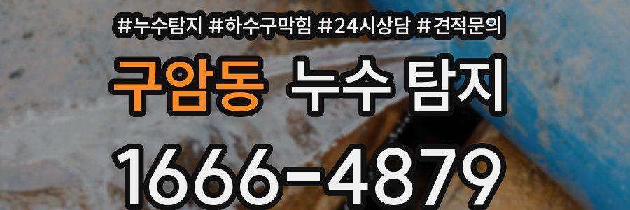 구암동 누수 탐지