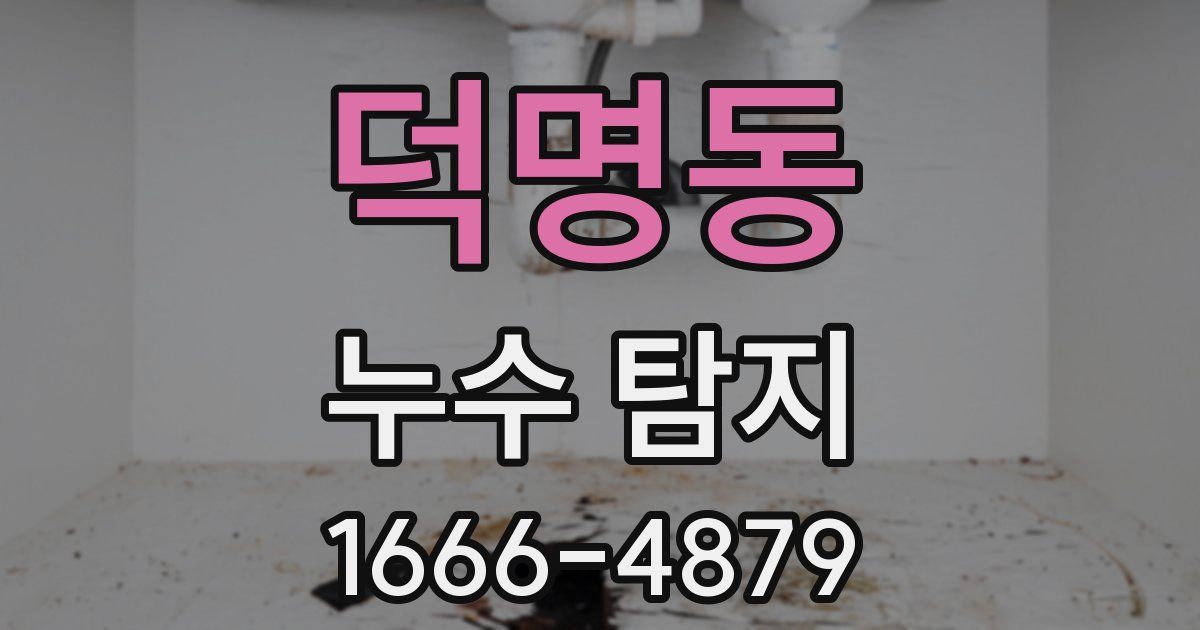덕명동 누수 탐지