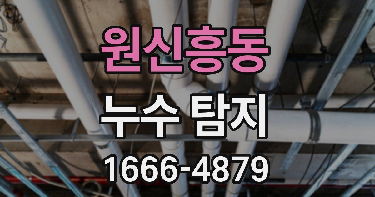 원신흥동 누수 탐지