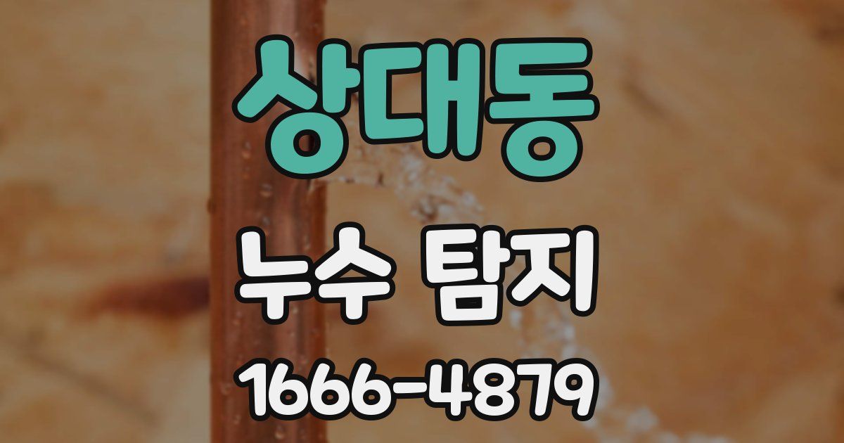 상대동 누수 탐지
